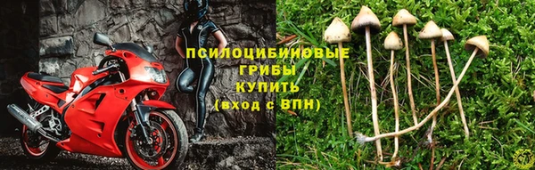 спиды Алексин