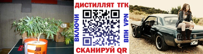 Купить где Ельня Дистиллят ТГК THC oil